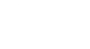 Speedo